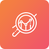 Icon 1